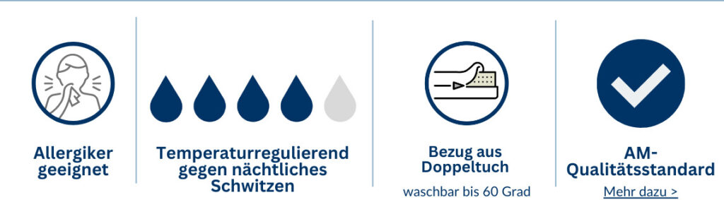 Icons mit Informationen zu einem Produkt: allergikergeeignet, temperaturregulierend, Bezug aus Doppeltuch, waschbar bis 60 Grad, AM-Qualitätsstandard.