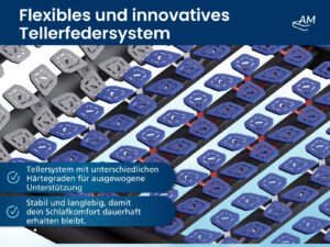 Produktbild eines 4-teiligen Tellerlattenrosts mit unterschiedlichen Härtegraden in Grau und Blau