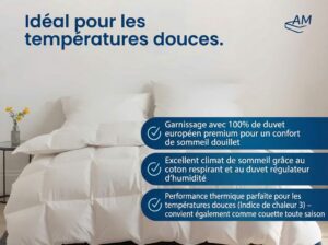 fr-Couette-transition-Image de référence-2