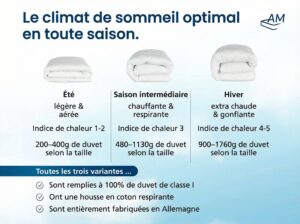 fr-Couettes-en-duvet-Image-de-référence-5