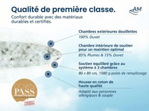 fr-Oreiller en duvet-Image du produit-3-80x80-1