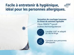 fr-Oreiller en duvet-Image du produit-4-80x80-1