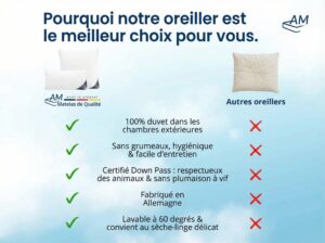 fr-Oreiller en duvet-Image du produit-5