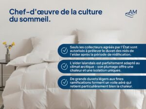 fr-Image du produit-2-Couette en duvet d'eider