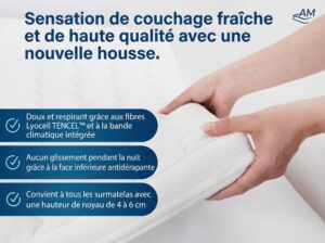 fr-Tencel-Housse de surmatelas-Image du produit-2.jpg